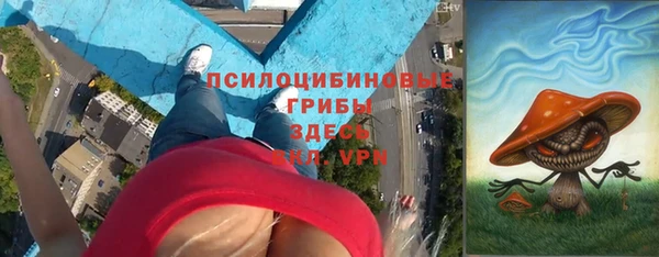хмурый Алзамай