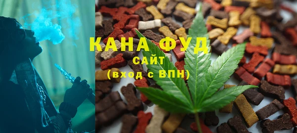 хмурый Алзамай