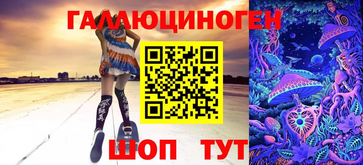 Псилоцибиновые грибы Psilocybine cubensis Дмитров
