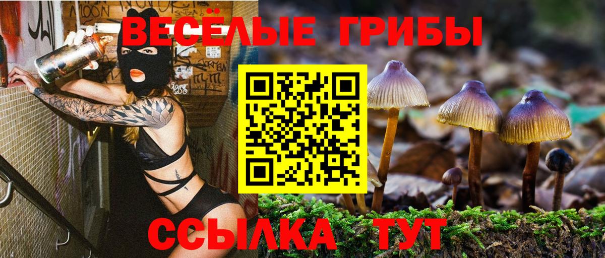 Дмитров  Псилоцибиновые грибы Cubensis  Вход с VPN 