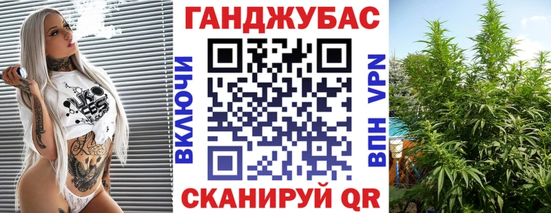 Марихуана план  OMG зеркало  Дмитров  наркошоп 